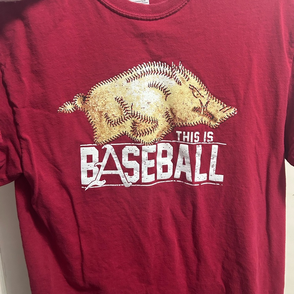 Arkansas Razorback This is Baseball Graphic T-Shirt- Red